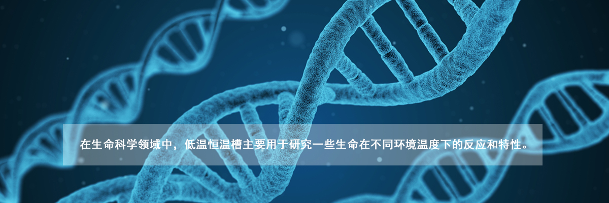 星空体育产品广泛应用在各行业
